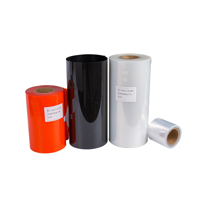 7-11 Lapisan Filem Thermoforming PA/PE Umum 7-11 Lapisan Filem Thermoforming PA/PE Umum