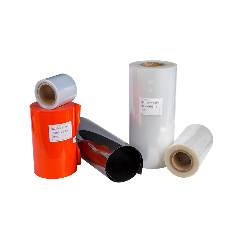 7-11 Lapisan Filem Thermoforming PA/PE Umum 7-11 Lapisan Filem Thermoforming PA/PE Umum