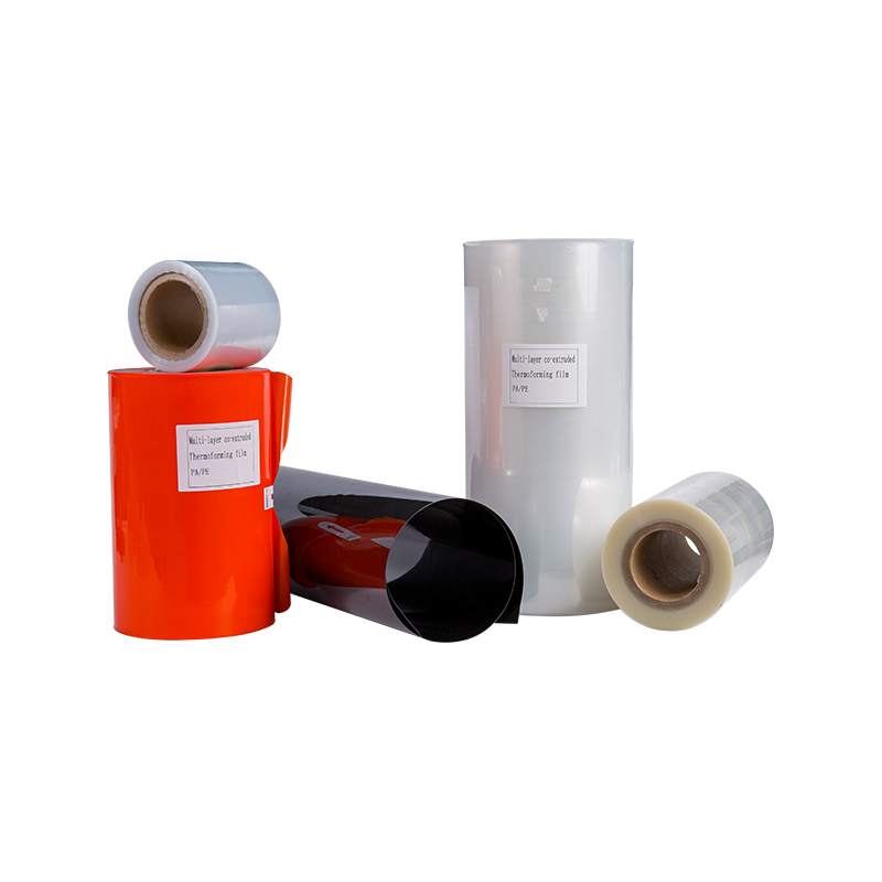 7-11 Lapisan Filem Thermoforming PA/PE Umum 7-11 Lapisan Filem Thermoforming PA/PE Umum