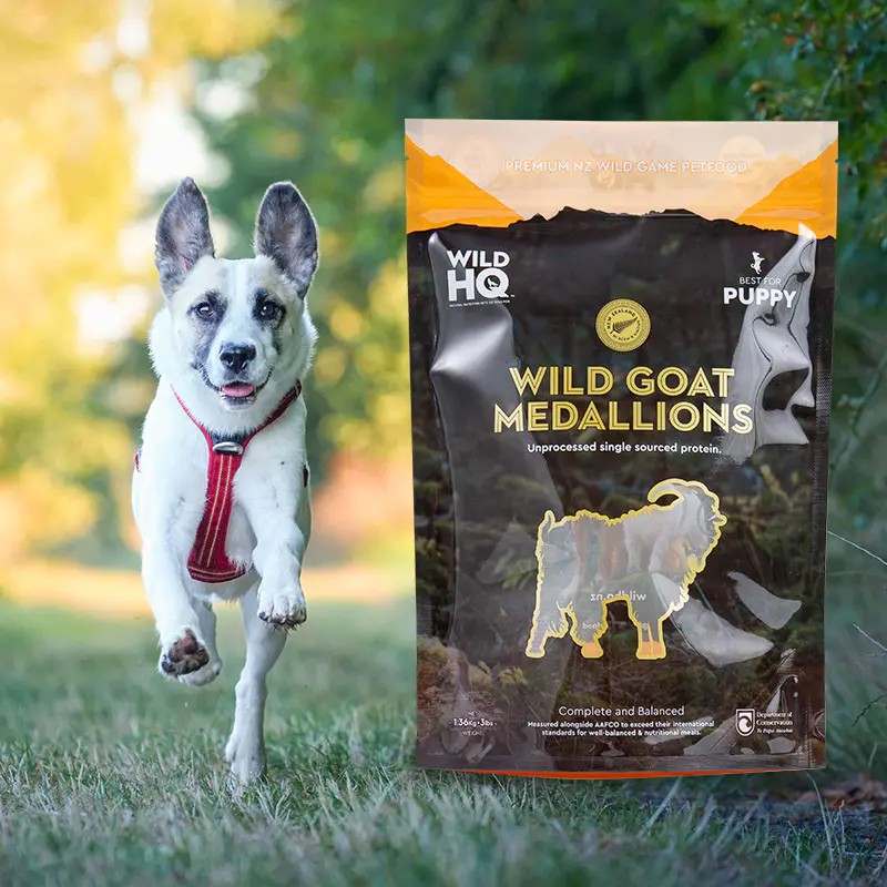 1-5kg Beg Pouch untuk Rawat Anjing